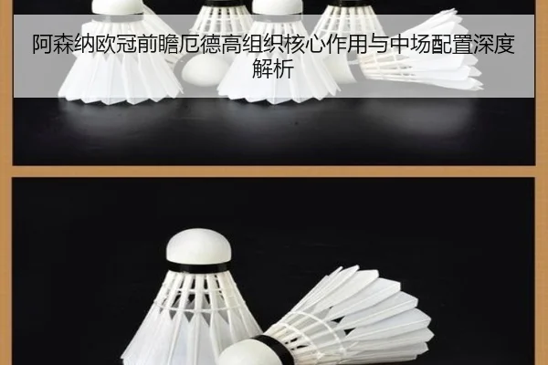阿森纳欧冠前瞻厄德高组织核心作用与中场配置深度解析